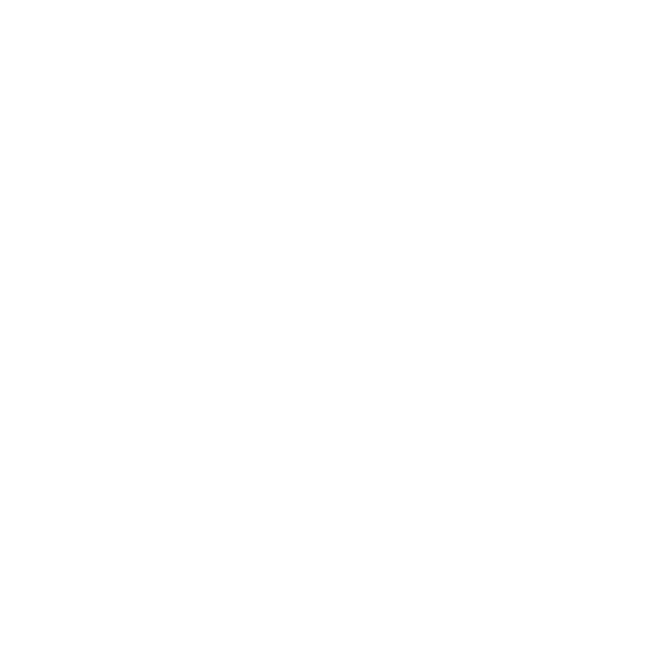 THE NEXT LEGACY