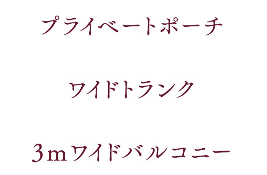 ポイント